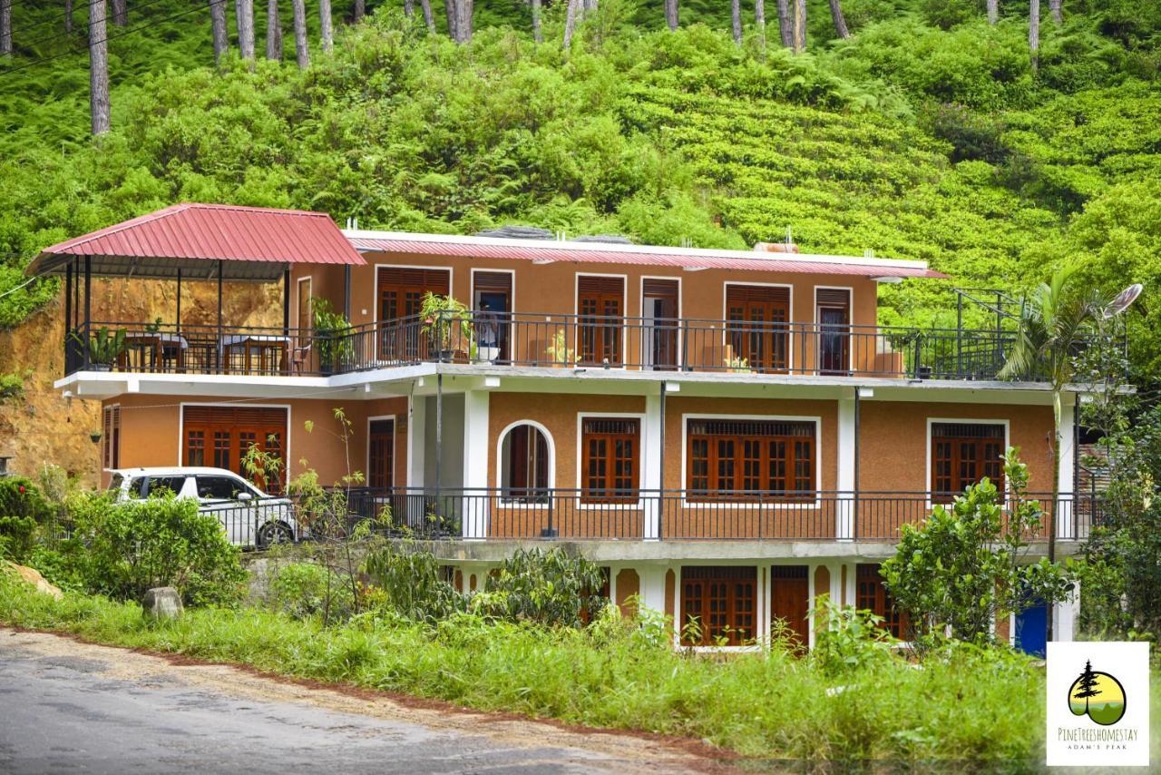 Pine Trees Homestay Nallathanniya Exterior foto